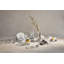 Forma Glass Decorative Bowl-740136705