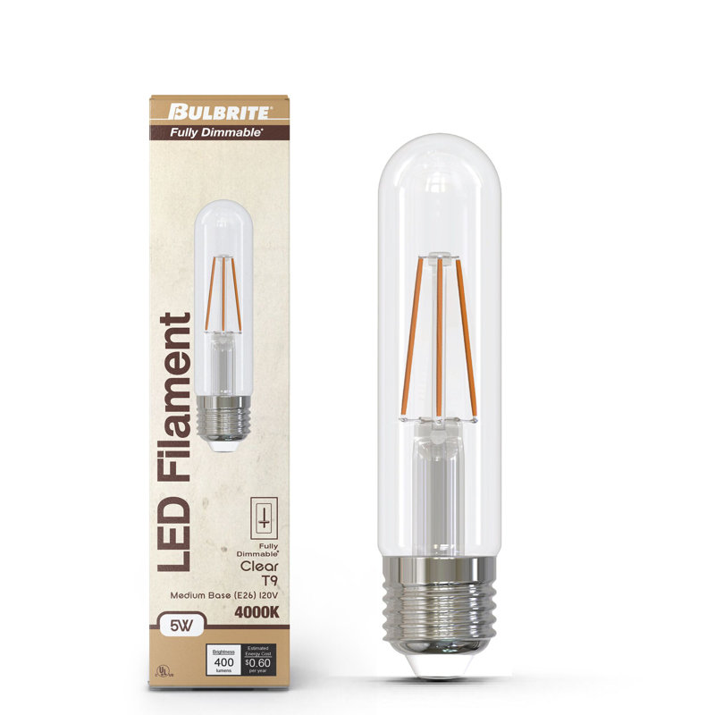 Ampoule 5 po T9 à intensité variable 5 po avec finition en verre transparent et base moyenne (E26)