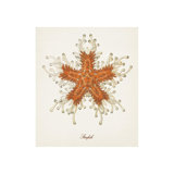 Nautical Art III Print by Sofia Fox