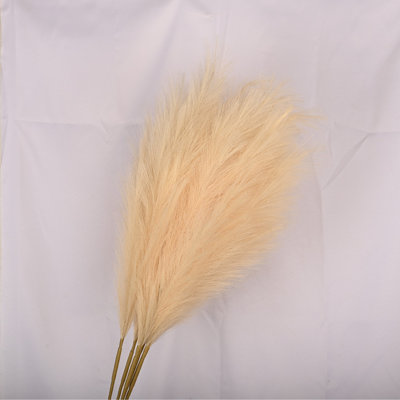 Silk Pampas Grass Arrangement
