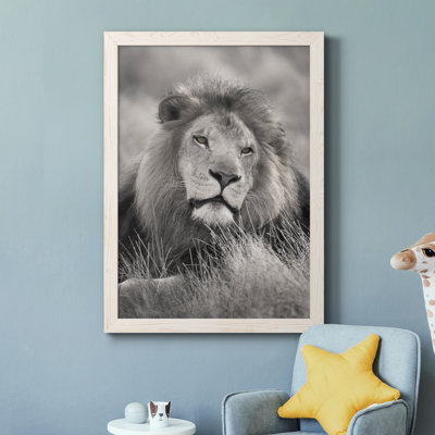" Pride Of The Pride "
