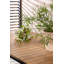 Arlisha Acacia Metal Base Dining Table