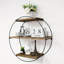 Alaina 3 Piece Circle Wood Floating Shelf-847772614