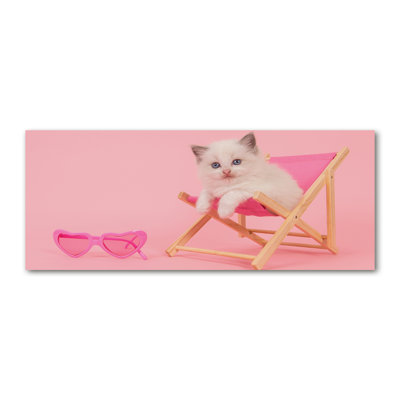 Cat on a Deckchair 1 Piece Wrapped Canvas Wall Art