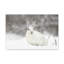 No Frame Print on Canvas-1666275359