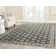 Ajanee Hand Knotted Wool Charcoal/Grey/White Rug