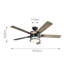 Kartz 60cm Ceiling Fan with LED Lights