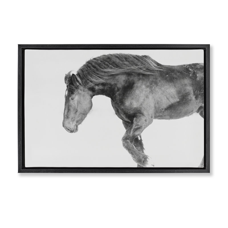 Cadre flottant Winter Stallion au galop, design par Amy Carroll, Cadre flottant noir de jais, H 17 po x l 25 po