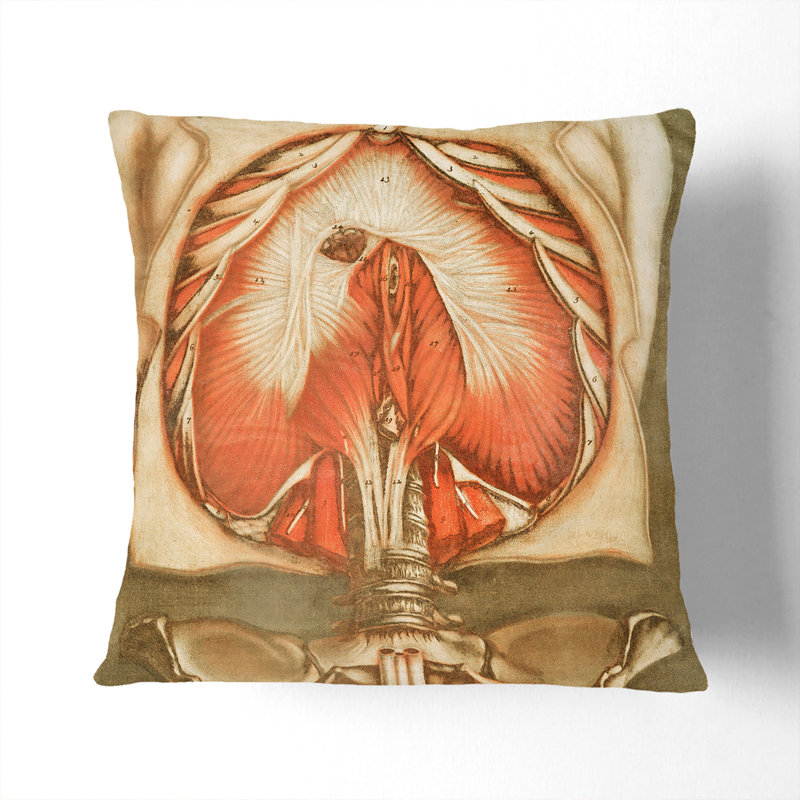 Square Throw Cushion, Black, 55cm H x 55cm W x 20cm D