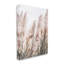 "Stupell Industries Windblown Reeds", reproduction d'art sur toile par Incado-91297351-91297354