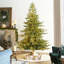 Sapin de Noël pré-éclairé Mcdaniel-1834813255