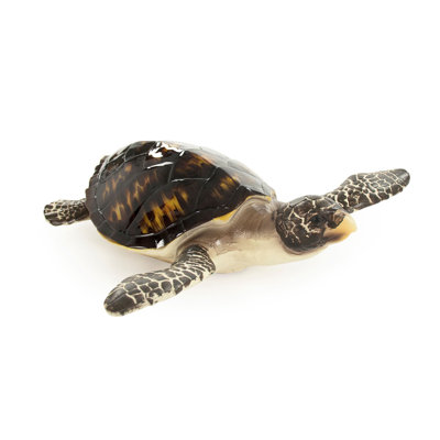 Coastal Sea Turtle Sculpture (M)
