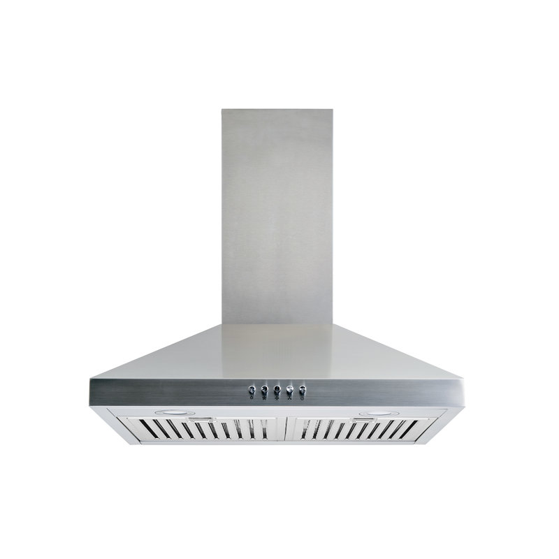 Hotte murale convertible en acier inoxydable avec filtre incluse W103C Series