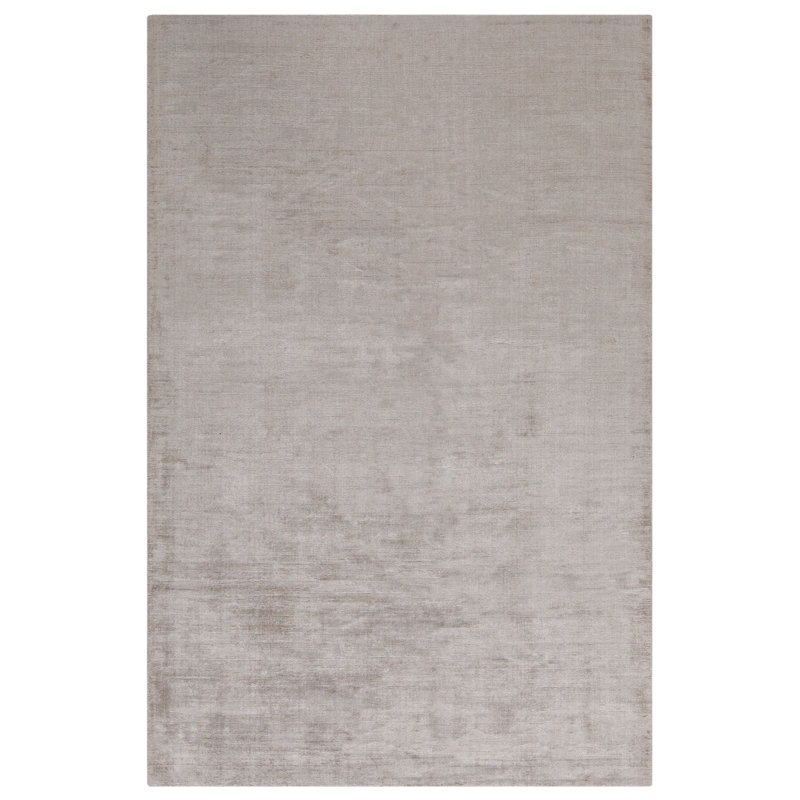 Area Rug in Beige