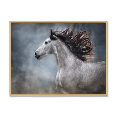 " Portrait Of A Galloping White Horse II "