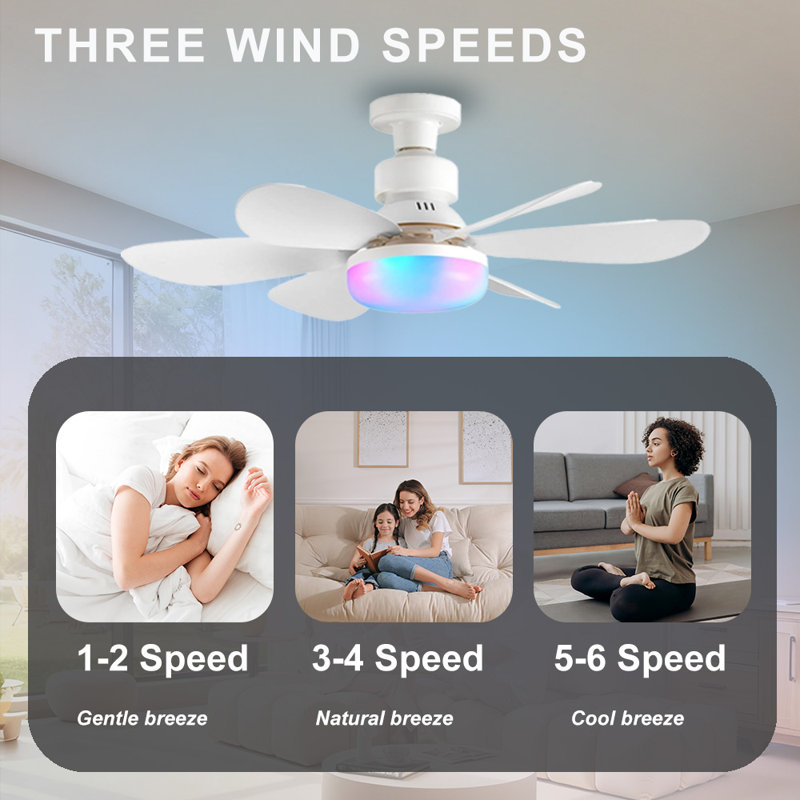 35cm Ceiling Fan with Light Kit