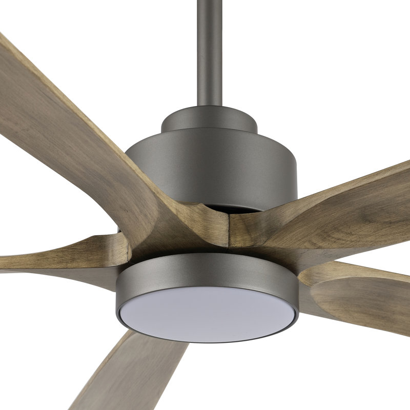 Ventilateur de plafond à DEL 5 pales Bascio, Gris anthracite, Bois clair, H 20,5 po x l 52 po x P 52 po