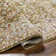 Bower Oriental Indoor Rug