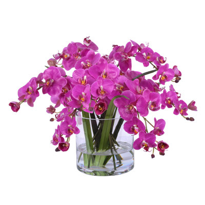 Orchid Centerpiece in Vase