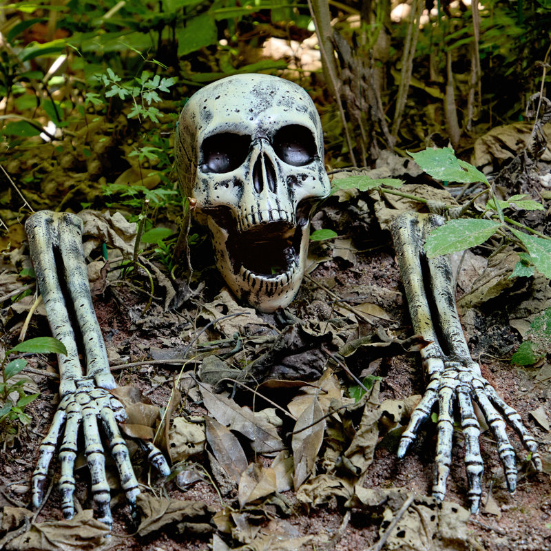 3 piquets de jardin squelette d'Halloween, décoration de crâne révolutionnaire