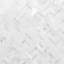 Carrara 1X3 Herringbone Polished Mosaic Tile