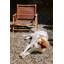 Chaise de camping pliante Mariam