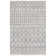 Champlain Shag Performance Southwestern Rug