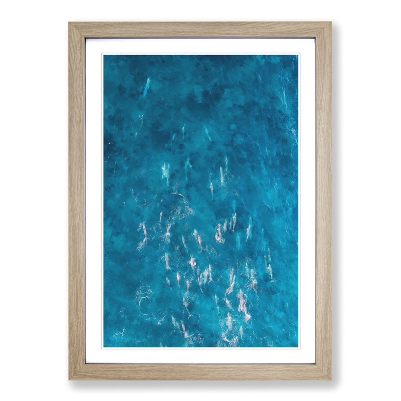 Many Dolphin - Picture Frame Painting Print, 33cm H x 24cm W x 2cm D, Oak Framed