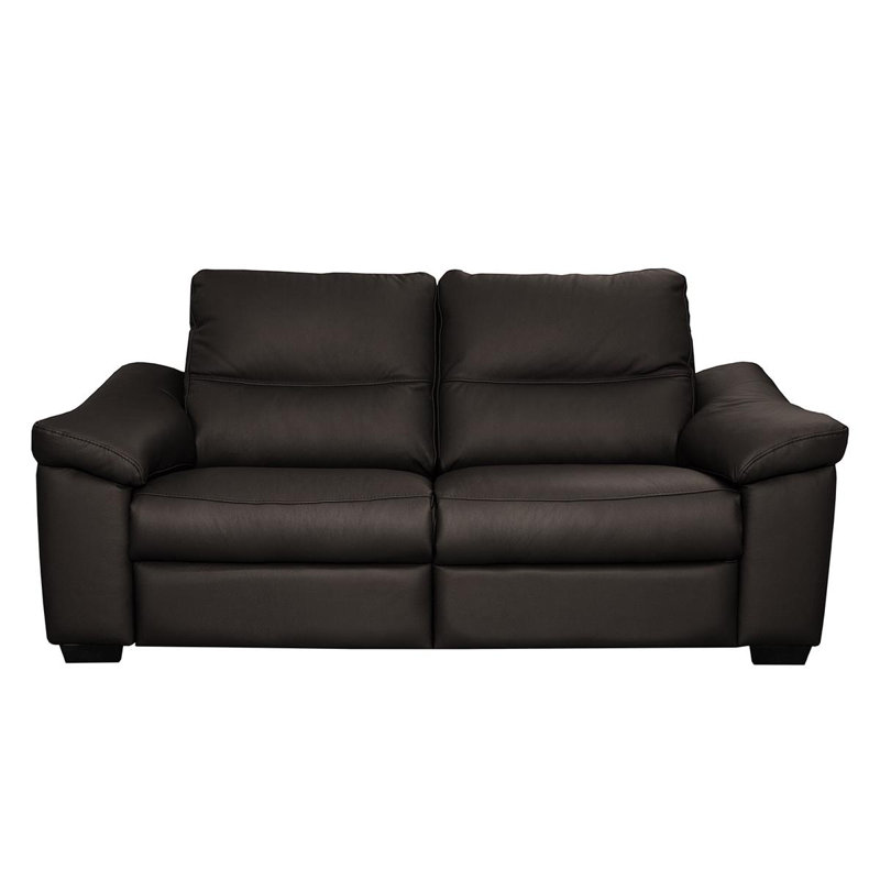Abbrielle 175cm W Genuine Leather Pillow Top Arms Loveseat, Dark Brown