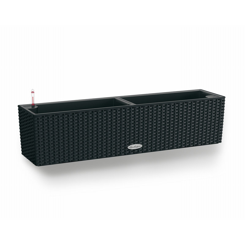 Balconera Window Box Planter, 19cm H x 80cm W x 19cm D