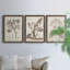 Antique sépia botanicals I - ensemble de 3 reproductions d'art sur toile-1241077293-1241077294