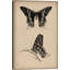 Art animalier, papillon rétro, impression sur toile tendue-74270138-10915312-74270139
