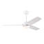 Ventilateur de plafond lumineux Hestrune