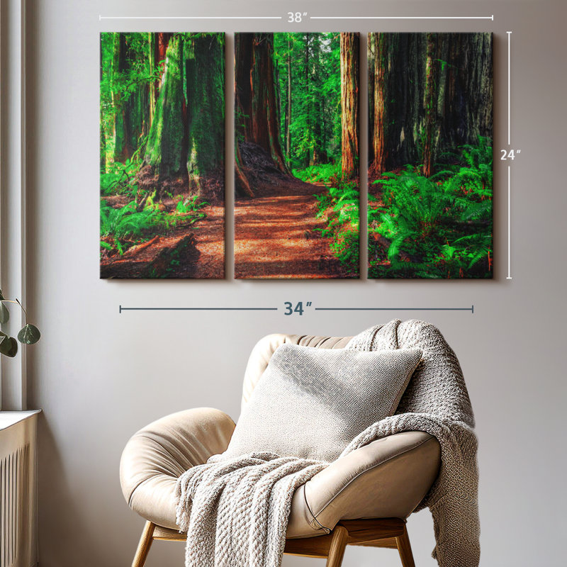 «Redwood Forest Path» sur toile, H 24 po x l 38 po x P 1,25 po