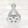 Anystream Pure 2.0 GPM Multi-Function Adjustable Shower Head with Filter