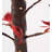 Indoor/Outdoor Lighted Tabletop Japanese Maple Tree with 40 Lights