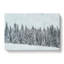 Points Of The Trees - Wrapped Canvas-56632737