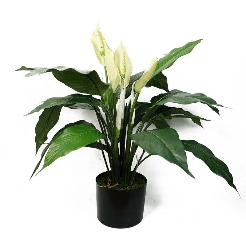 Andrick 60cm Faux Tree in Pot