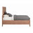 Standard Bed-1544404097