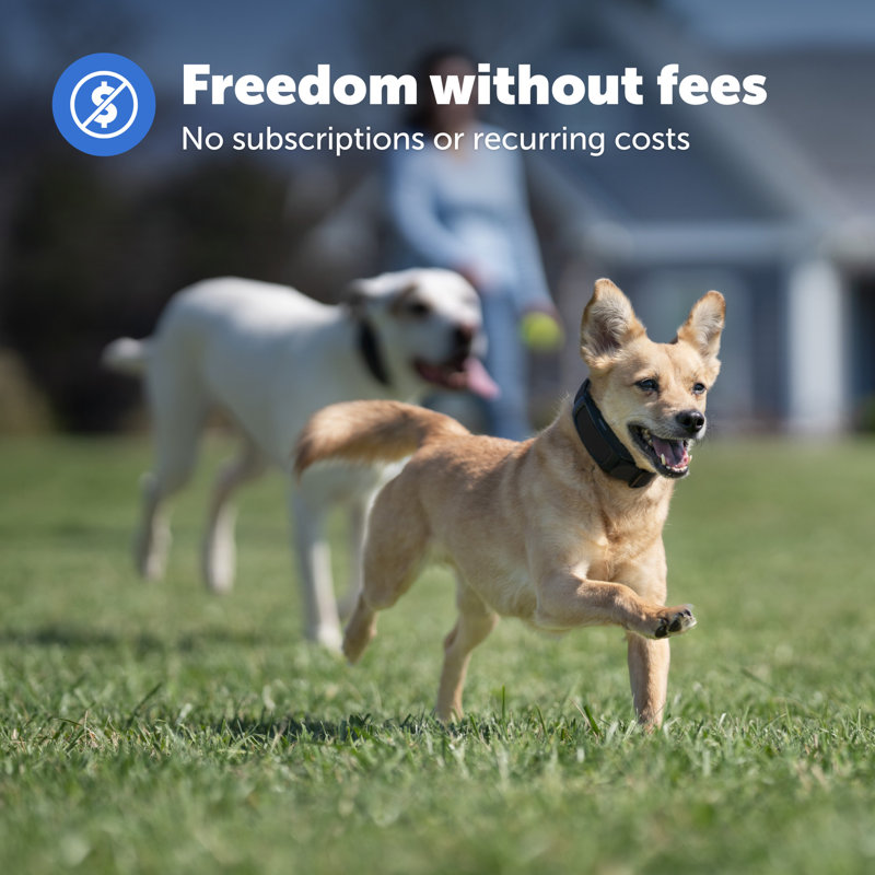 Petsafe Guardian Gps Dog Fence Add-a-dog Collar