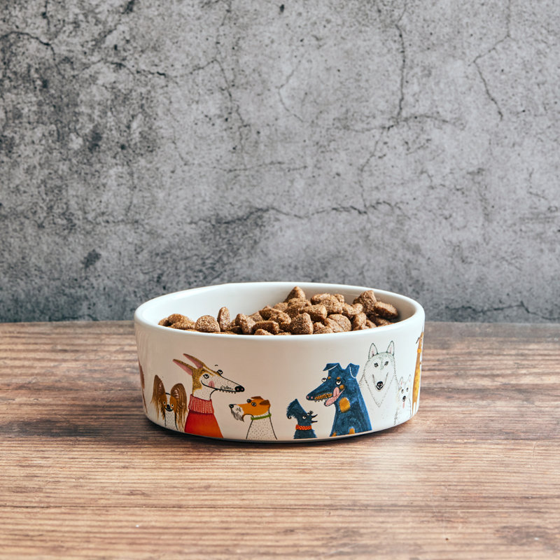 From Wags to Whiskers Dog Bowl, Medium (2.74 cups)