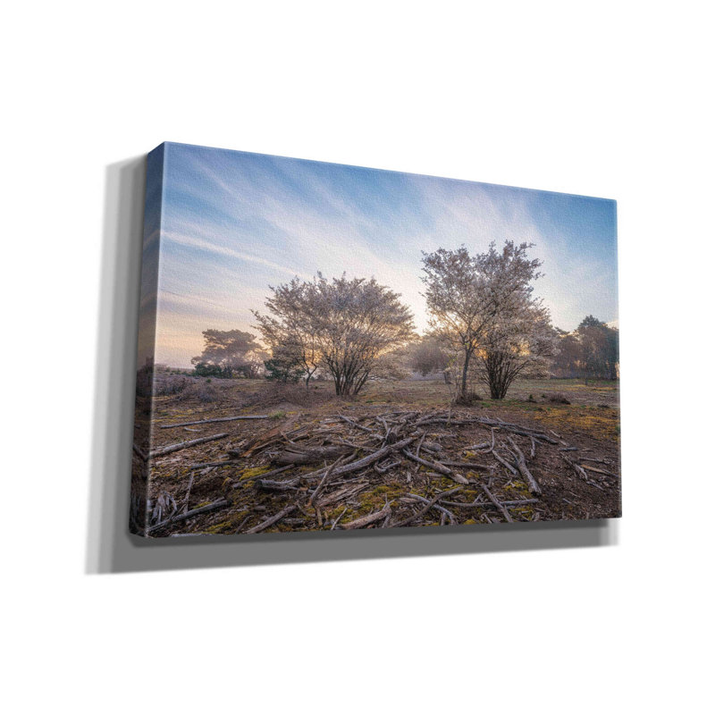 «Zolie Spring Bushes At Sunrise On Canvas» par Martin Podt, reproduction, H 12 po x l 18 po x P 0,75 po