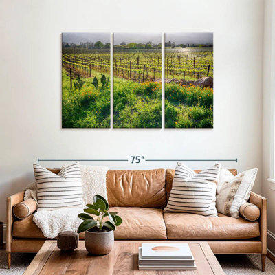 Alvord Sunrise In The Vineyard