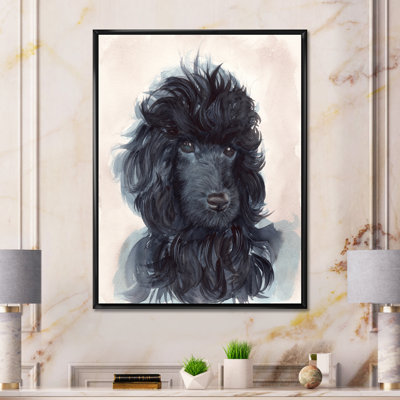 " Portrait Of The Black Poodle Puppy With Curly Coat "