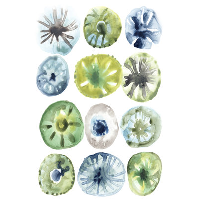 " Sea Urchin Assortment I " Painting Print
