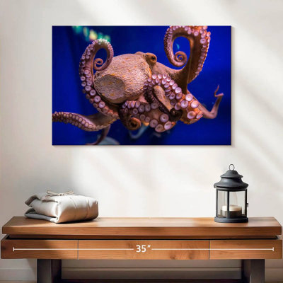 Octopus Prowess