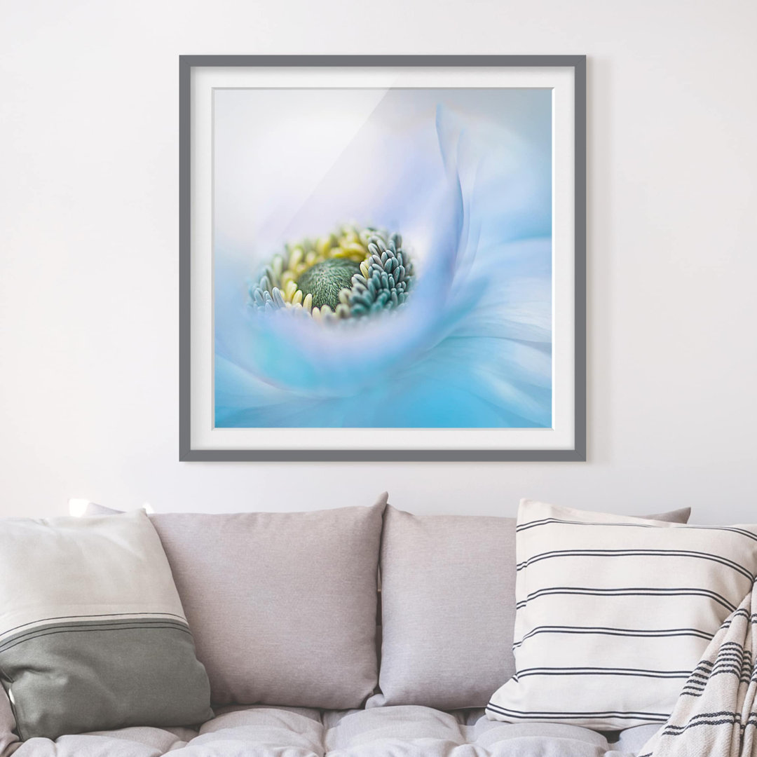 Gerahmtes Poster Anemone auf dem Fluss