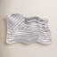 American Flag Large Platter