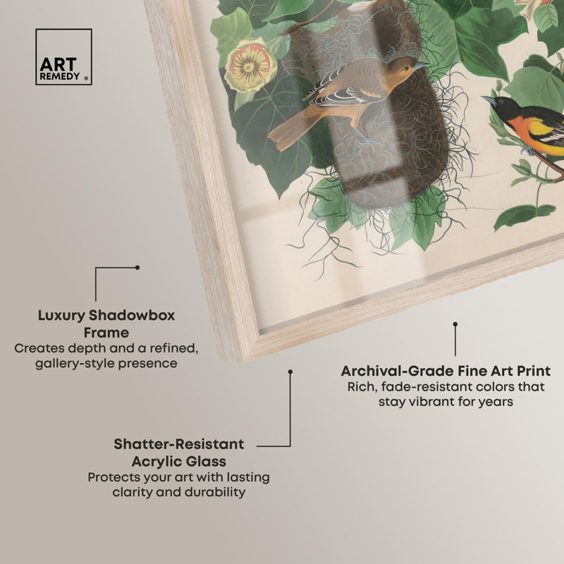 «Three Orioles Shadowbox Print» par Art Remedy, H 21 po x l 17 po, Crème, crème