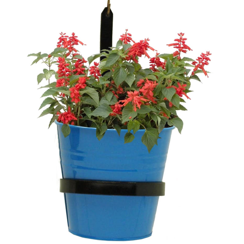 Serra Enameled Galvanized Steel Planter with iron holder Set of Two, Blue